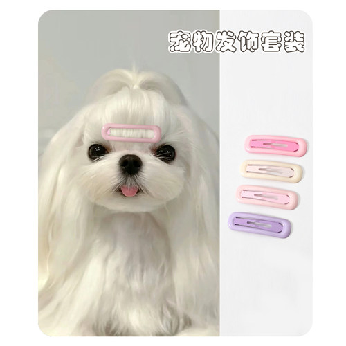 马尔济斯幼犬专用发夹狗狗头饰不掉约克夏小狗发卡可爱发饰碎发夹