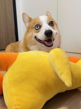 狗玩具磨牙发声自嗨消耗体力柯基贵宾犬耐咬小黄鸭幼犬陪伴陪睡鸭
