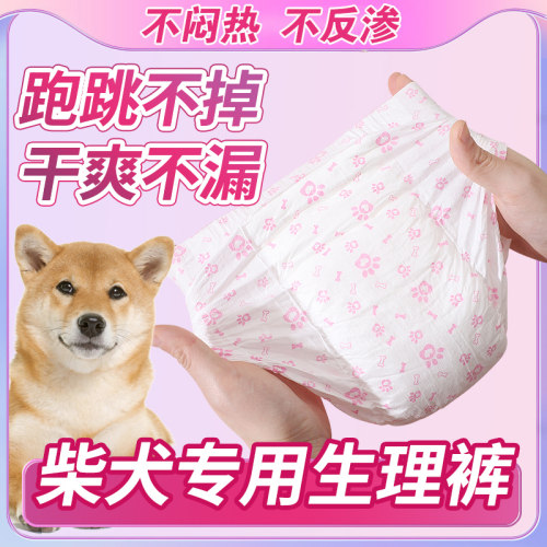 狗狗生理裤例假月经一次性不易漏