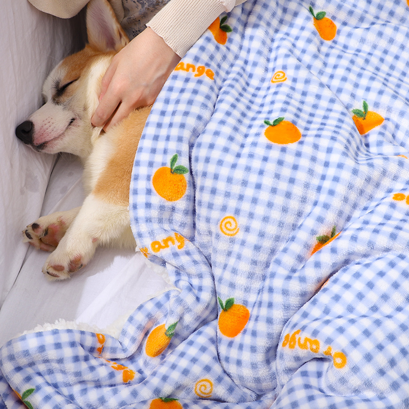 狗狗毛毯睡觉被子冬加厚小狗毯子冬季保暖棉垫地垫双面用防冻盖毯