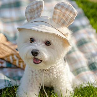 狗狗外出帽子夏季小狗遮阳小型犬专用露耳朵渔夫帽约克夏宠物用品