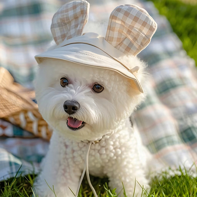 狗狗外出帽子夏季小狗遮阳小型犬专用露耳朵渔夫帽约克夏宠物用品