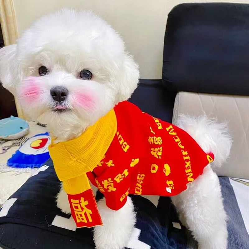 狗狗新年衣服2025新款冬小狗喜庆厚款棉毛衣雪纳瑞宠物用品约克夏
