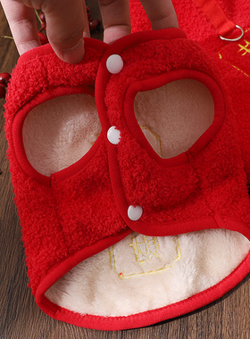 狗狗衣服冬天红色棉衣比熊幼犬外出高颜值马甲宠物加绒保暖两脚衣