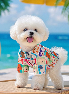 狗狗衣服2026新款薄款夏季外出比熊秋款时尚两脚衣秋天小狗小型犬