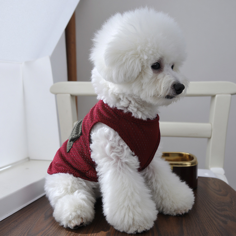 狗狗衣服舒适可爱户外遛狗防脏衣