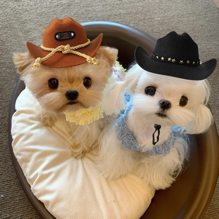 狗狗帽子夏露耳朵小型犬遮阳小狗防晒专用约克夏雪纳瑞外出牛仔帽