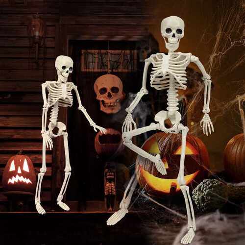 Halloween90CMHumanSkeleton