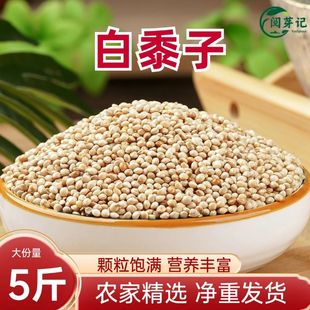 白黍子枕头填充白黍子蒙稷儿童枕头痔疮垫凉垫坐垫凉凉籽糜子