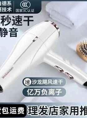 发廊家用电吹风机速干