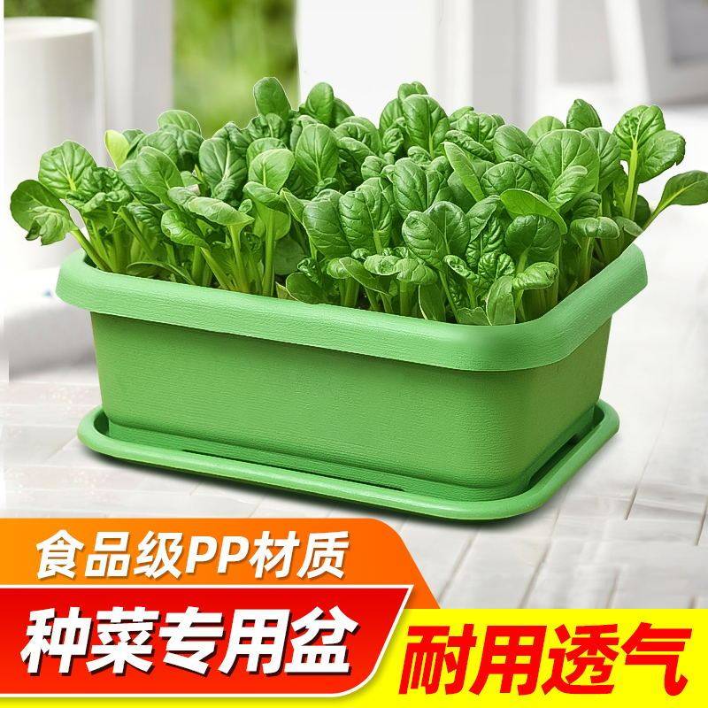 阳台种菜专用盆长方形室外楼顶菜盆家庭种植箱特厚耐用种菜塑料盆,鲜花速递/花卉仿真/绿植园艺,花盆,淘宝优惠券,粉丝福利购,淘宝优惠卷