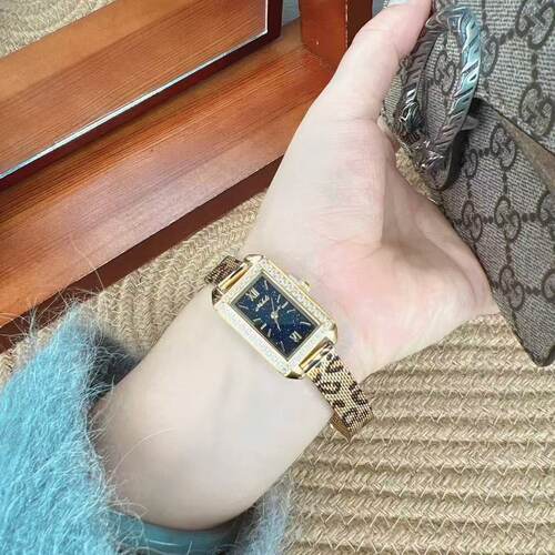 女士韩版潮流防水轻奢时尚腕表