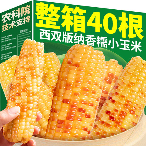 10斤云南西双版纳香糯小玉米