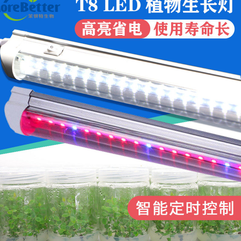T5植物灯价格 T5植物灯图片 星期三