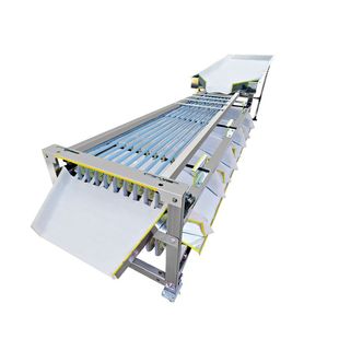 新款自动不伤果分选机李子圣女果选果机百香果槟郎分选设备机械厂