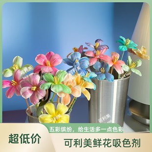 可利美色彩大师鲜切花吸色剂郁金香康乃馨吸色染料满天星吸染颜料