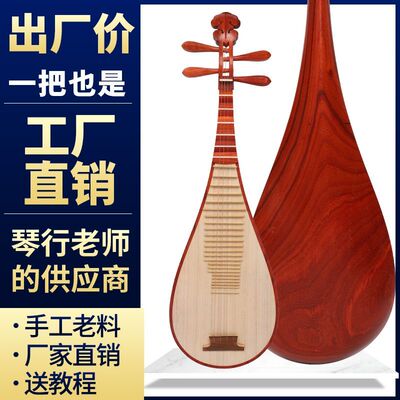 琵琶乐器 红木花梨木琵琶 琴初学入门儿童成人专业演奏级琵笆乐器