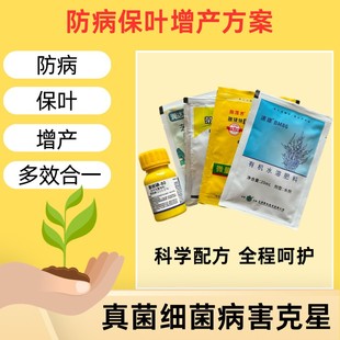 瓜豆真菌细菌叶面肥 组合套餐 5合1