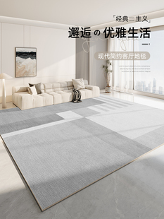 沙发茶几毯轻奢高级卧室房间床边毯全铺免洗可擦 地毯客厅2024新款