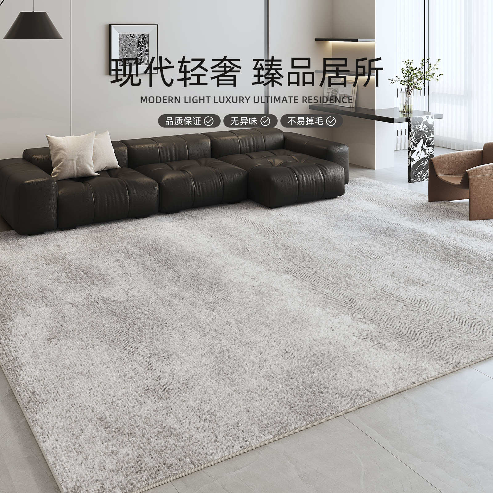 地毯客厅2025新款轻奢高级卧室房间免洗可擦毛绒沙发地垫防水防污