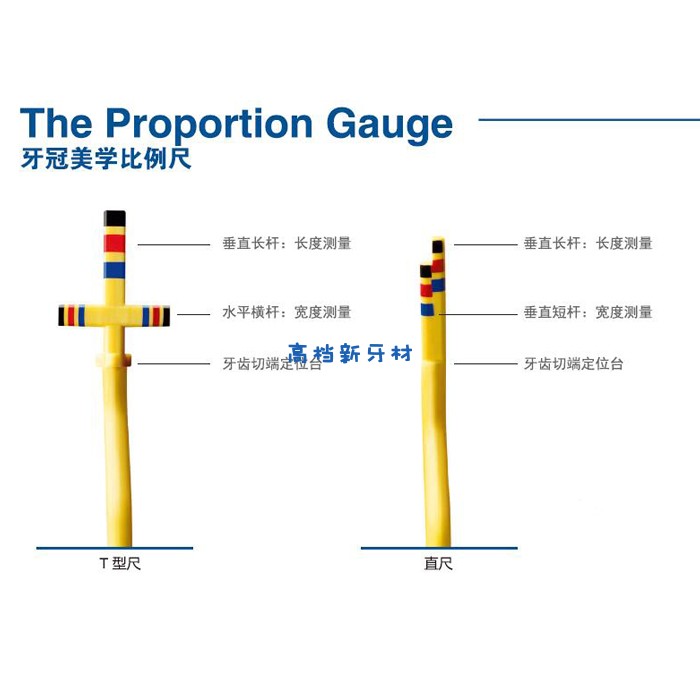 牙科材料 美国豪孚迪牙探针牙冠美学标尺牙冠美学比例尺PROGS