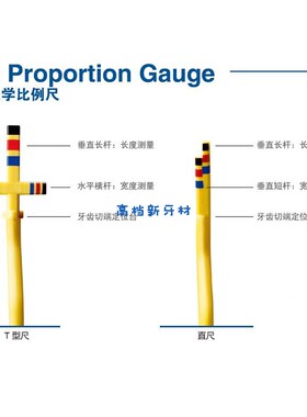 牙科材料 美国豪孚迪牙探针牙冠美学标尺牙冠美学比例尺PROGS