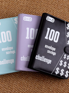 100Envelope Challenge Binder money saving book cash budget
