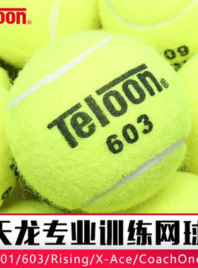 TELOON天龙专业训练网球高弹耐打