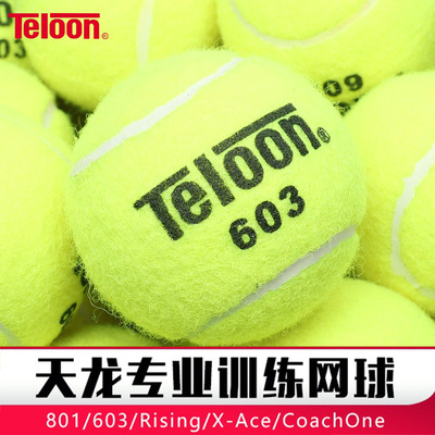 TELOON天龙专业训练网球高弹耐打