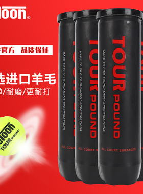 Teloon天龙网球pound专业比赛网球初学者进阶训练网球练习球罐装