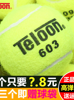 天龙网球训练球603rising801高回弹幼儿园投掷按摩宠物发球机网球