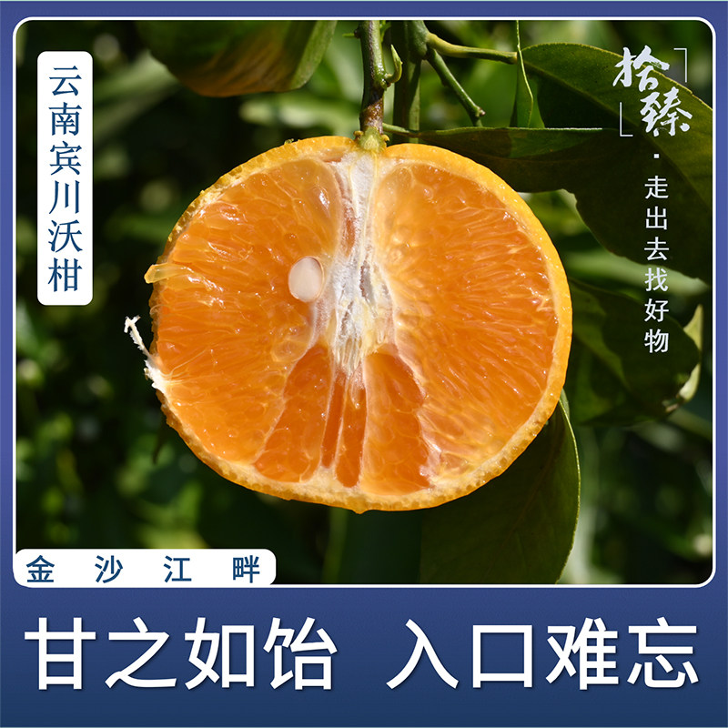 拾臻精选正宗云南宾川沃柑当季新鲜水果无酸洗不打蜡健康美味