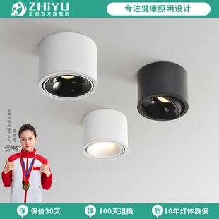 至御射灯明装 可调角度led免开孔防眩客厅无主灯背景墙玄关天花灯