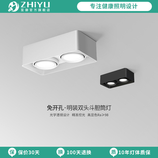 斗胆灯客厅超薄卧室吸顶灯盒子灯明装 至御双头筒灯明装 筒灯105B