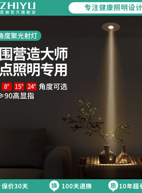 至御小孔射灯迷你聚光深藏防眩高显指小号嵌入式天花灯开孔220