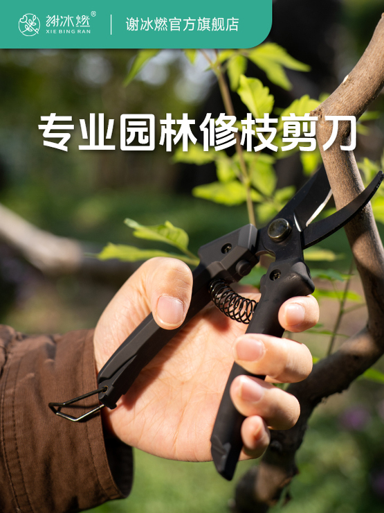 谢冰燃园艺大剪刀园林花剪修枝剪修剪采摘专用果树剪强力修剪树枝