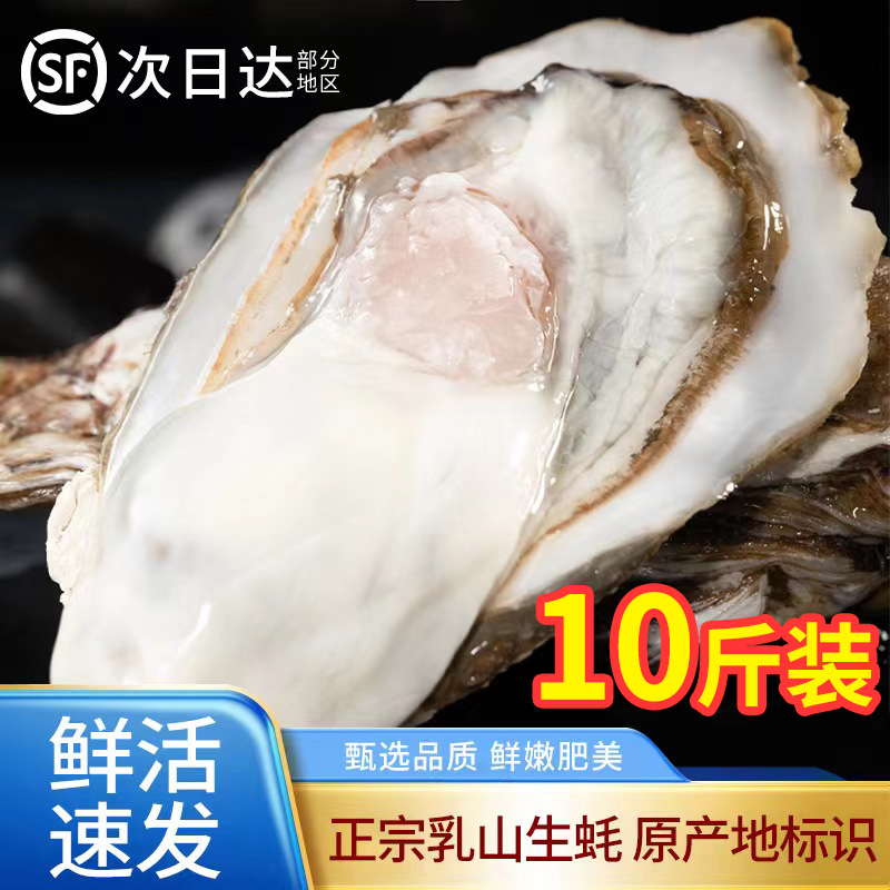 乳山生蚝鲜活超大海鲜鲜活海蛎子现捞商用烧烤10斤生蚝鲜活批发-封面