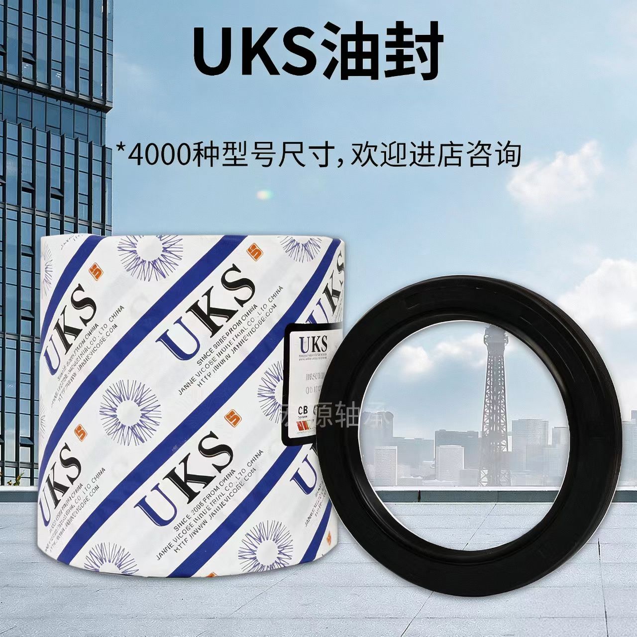 UKS螺纹骨架油封密封圈8x14x15x16x17x18x19x20x4x5x6x7 - 实物图