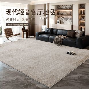 轻奢高级免洗可擦现代简约防水防污茶几沙发地垫 地毯客厅2025新款