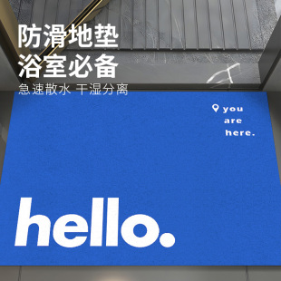 地垫浴室丝圈卫生间门口简约高级感家用淋浴房防滑沥水垫2024新款