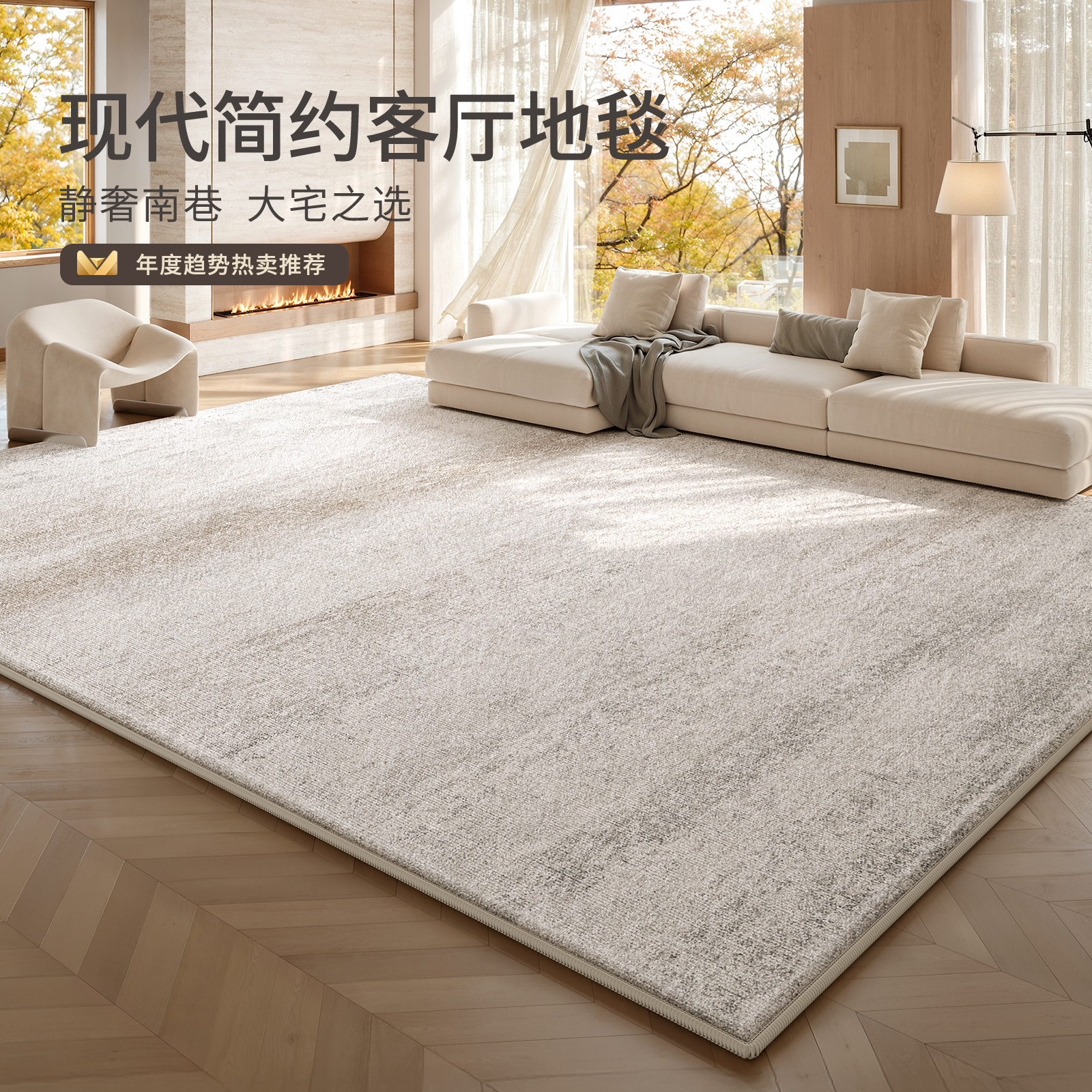兴连心客厅地毯防水防污轻奢高级