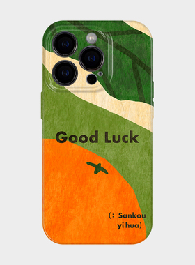 大橘大利 适用iPhone17苹果16promax手机壳新款保护外壳15独特巨好看的14高级感轻奢ins风13艺术小众不撞款12