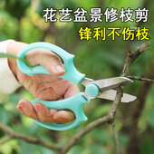 花艺剪刀插花家用花剪子鲜花店专用剪刀花枝盆景修理工具剪枝剪刀