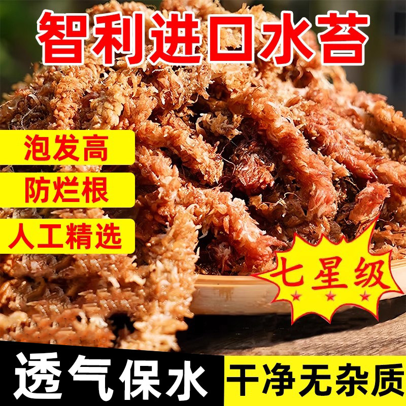 毛毛虫水苔智利进口干苔藓乌龟冬眠垫材蝴蝶兰石斛兰花专用土植料,鲜花速递/花卉仿真/绿植园艺,介质/营养土,淘宝优惠券,粉丝福利购,淘宝优惠卷