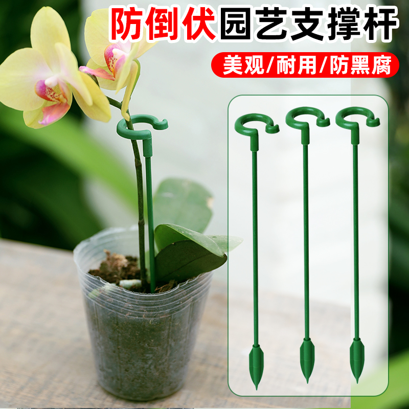 固定花神器植物防倒伏花杆