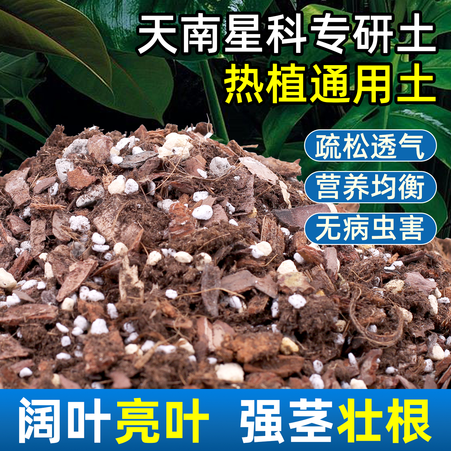 天南星科热植专用土彩叶芋花烛种花土壤龟背竹通用泥炭颗粒营养土