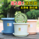 网红deepot花盆塑料四季 加仑盆控根月季 绿萝盆栽大号树脂花盆家用