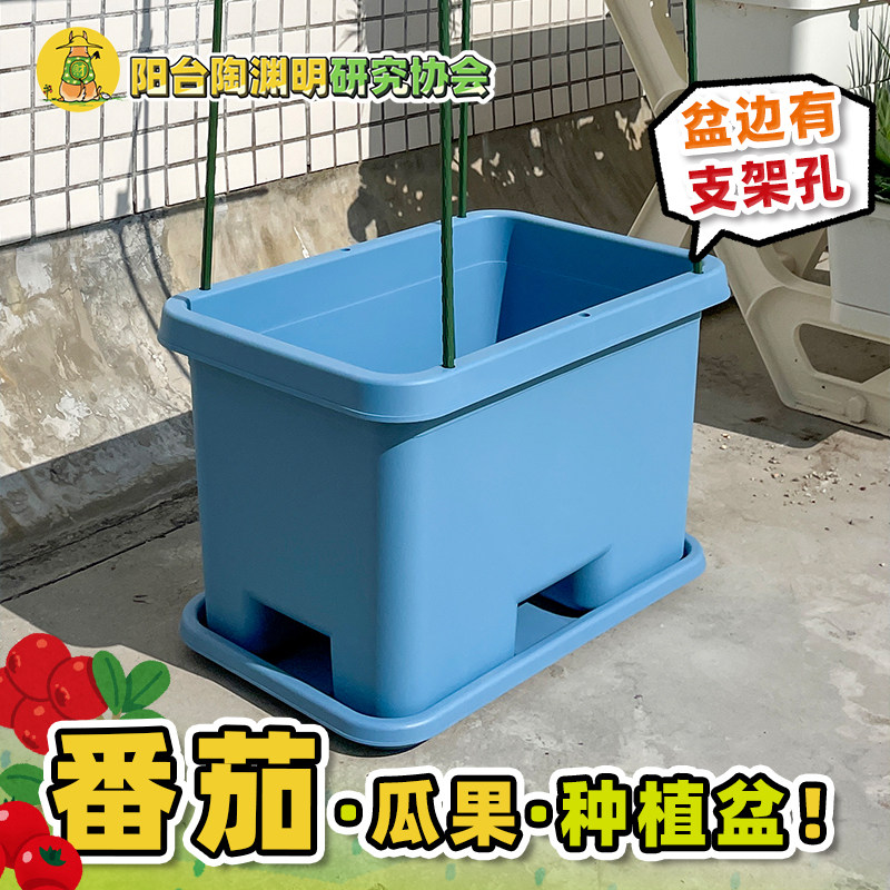 种番茄的盆种黄瓜花盆阳台种菜盆种菜专用箱种植箱种蓝莓西瓜南瓜