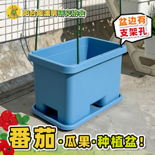 种番茄的盆种黄瓜花盆阳台种菜盆种菜专用箱种植箱种蓝莓西瓜南瓜