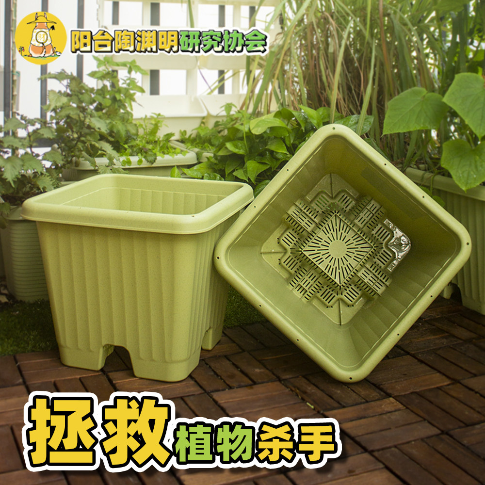 【阳台陶渊明】植物杀手专用盆